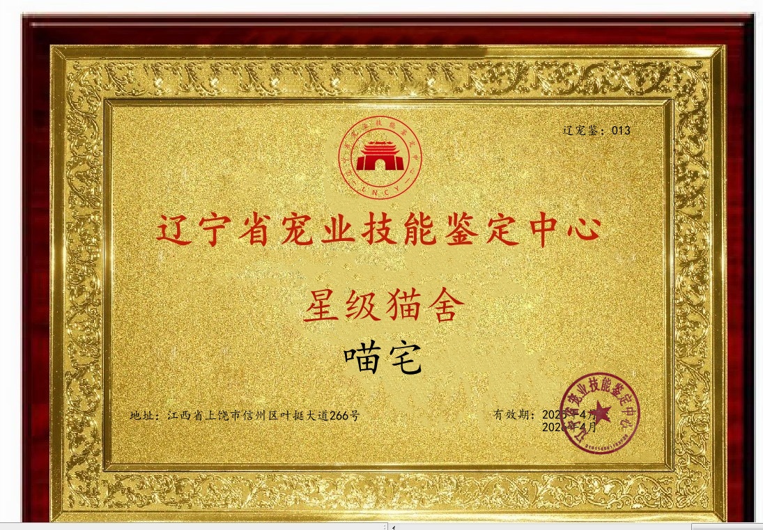 ABUIABACGAAgjo2K-AUovOrjqAQwuAg4oAs