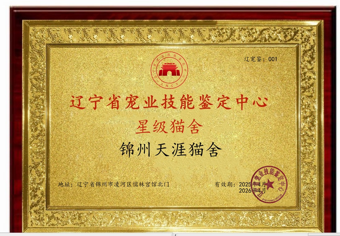 ABUIABACGAAgjo2K-AUovOrjqAQwuAg4oAs