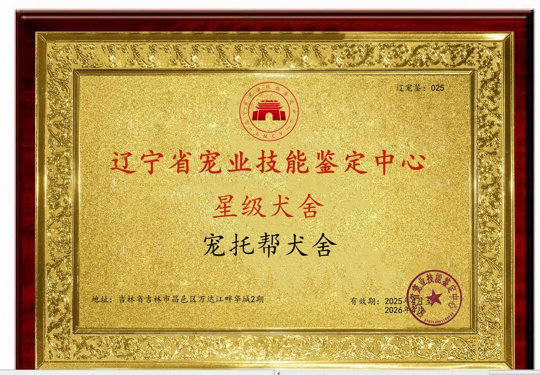 ABUIABACGAAgjo2K-AUovOrjqAQwuAg4oAs