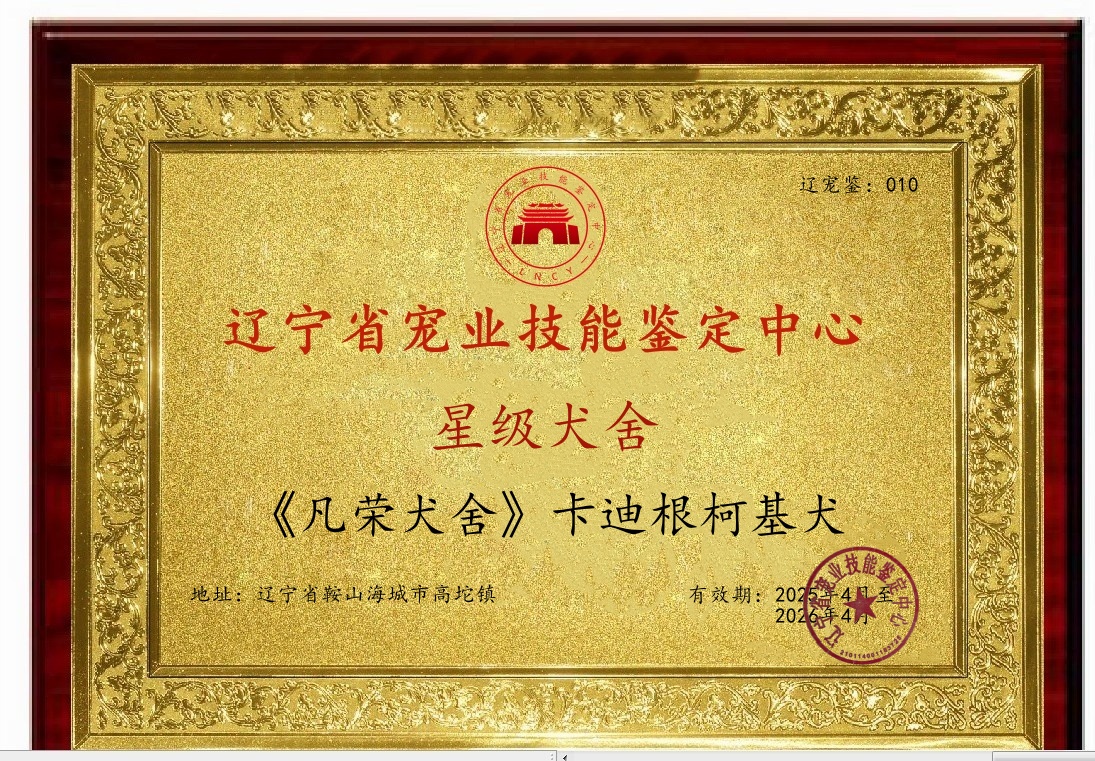 ABUIABACGAAgjo2K-AUovOrjqAQwuAg4oAs