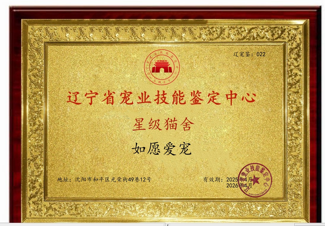 ABUIABACGAAgjo2K-AUovOrjqAQwuAg4oAs